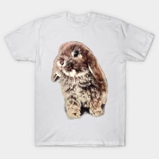 Who can resist a baby bunny? T-Shirt